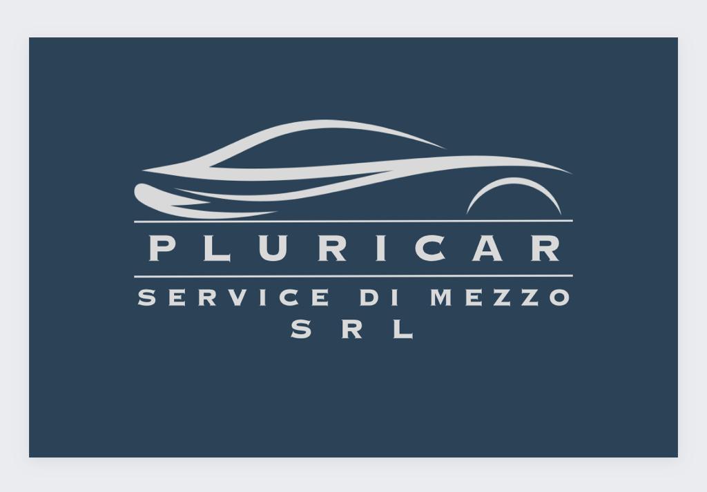 PluriCar Service